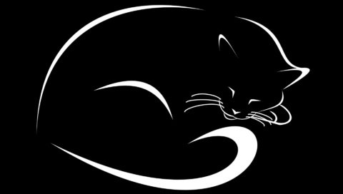 Обои рисунок, кошка, черный фон, figure, cat, black background разрешение 1920x1200 Загрузить