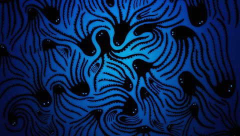 Обои арт, рисунок, осьминог, владстудио, синий фон, осьминоги, art, figure, octopus, vladstudio, blue background разрешение 2560x1600 Загрузить