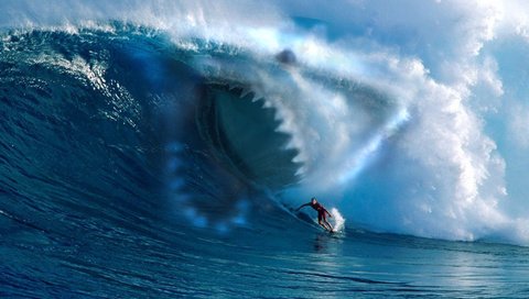 Обои море, волна, зубы, спорт, серфинг, акула, гавайи, sea, wave, teeth, sport, surfing, shark, hawaii разрешение 1920x1200 Загрузить