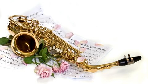 Обои цветы, фон, розы, ноты, лепестки, белый, саксофон, flowers, background, roses, notes, petals, white, saxophone разрешение 2560x1600 Загрузить