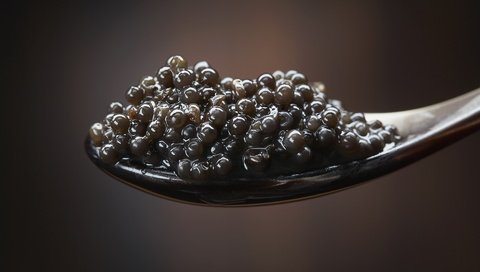 Обои макро, черная, вкусно, икра, ложка, ням-ням, черная икра, macro, black, delicious, caviar, spoon, yum-yum, black caviar разрешение 1920x1200 Загрузить
