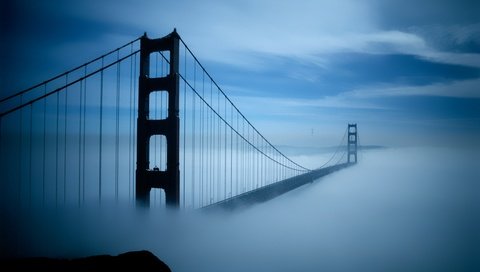 Обои утро, туман, мост, подвесной, morning, fog, bridge, pendant разрешение 4016x2649 Загрузить