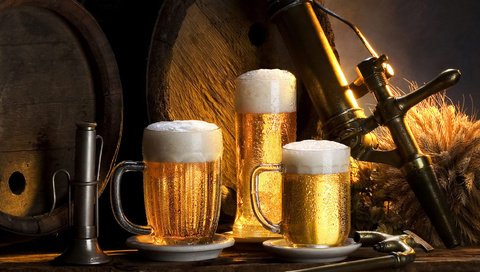 Обои пиво, бочки, хмель, пивные кружки, beer, barrels, hops, beer mugs разрешение 1920x1080 Загрузить