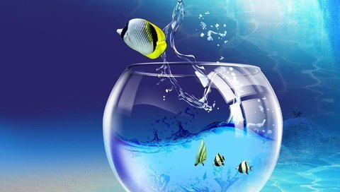 Обои windows 7 wallpaper fish. разрешение 1920x1440 Загрузить