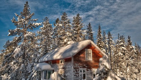 Обои деревья, снег, зима, дом, елки, старый, trees, snow, winter, house, tree, old разрешение 1920x1200 Загрузить