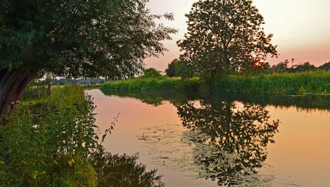 Обои деревья, вода, природа, закат, камыш, trees, water, nature, sunset, reed разрешение 1920x1200 Загрузить