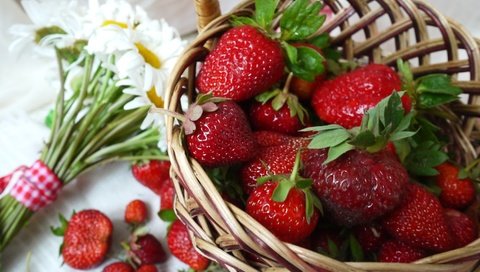 Обои клубника, ромашки, букет, корзина, ягоды, strawberry, chamomile, bouquet, basket, berries разрешение 2400x1571 Загрузить