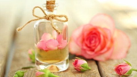 Обои цветы, бутоны, розы, лепестки, масло, духи, флакон, flowers, buds, roses, petals, oil, perfume, bottle разрешение 2880x1800 Загрузить