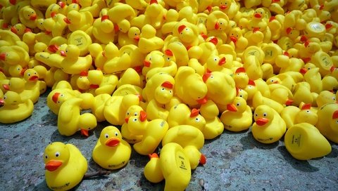 Обои игрушки, утята, утки, утка, резиновый утенок, резиновые утята, toys, ducklings, duck, rubber duck, rubber ducks разрешение 2048x1365 Загрузить