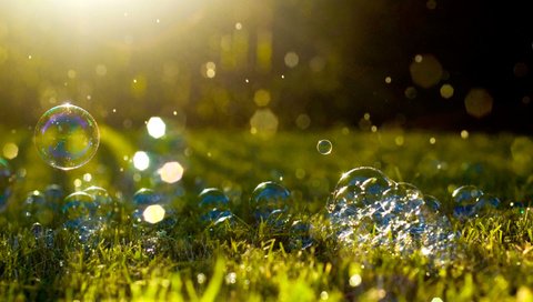 Обои трава, макро, блики, мыльные пузыри, солнечный свет, grass, macro, glare, bubbles, sunlight разрешение 2880x1800 Загрузить