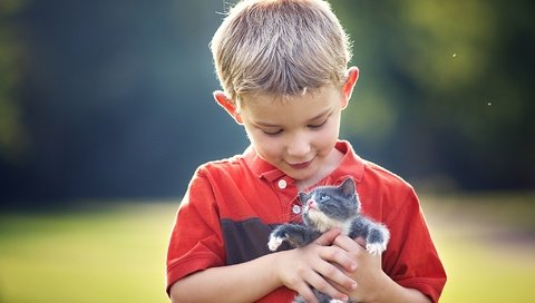 Обои котенок, дети, ребенок, мальчик, друзья, kitty, children, child, boy, friends разрешение 2048x1365 Загрузить