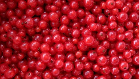 Обои текстура, ягоды, красная смородина, смородина, texture, berries, red currant, currants разрешение 2048x1365 Загрузить