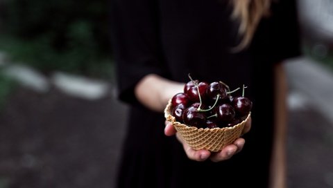 Обои рука, девушка, черешня, ягоды, вишня, корзиночка, hand, girl, cherry, berries, basket разрешение 2048x1365 Загрузить