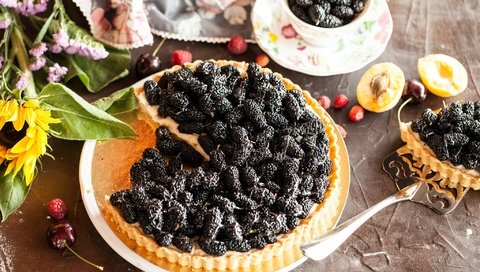 Обои фрукты, ягоды, выпечка, пирог, начинка, шелковица, fruit, berries, cakes, pie, filling, mulberry разрешение 2048x1341 Загрузить