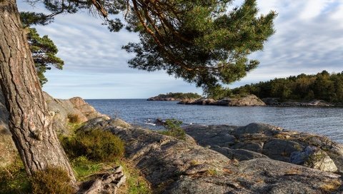 Обои небо, облака, дерево, камни, берег, море, the sky, clouds, tree, stones, shore, sea разрешение 2048x1366 Загрузить