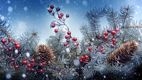 Обои новый год, елка, хвоя, ягоды, рождество, шишки, new year, tree, needles, berries, christmas, bumps разрешение 1920x1200 Загрузить