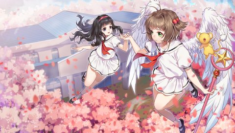 Обои летающие, cherry blossom, летны, крылышки, kinomoto sakura, blossom, anime girls, cardcaptor sakura, daidouji tomoyo, flying, flight, wings разрешение 2250x1405 Загрузить