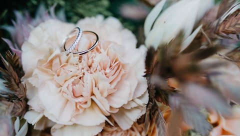 Обои цветок, кольцо, свадьба, обручальные кольца, боке, flower, ring, wedding, engagement rings, bokeh разрешение 4850x2728 Загрузить