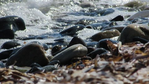 Обои камни, берег, галька, волны, макро, море, пляж, прибой, stones, shore, pebbles, wave, macro, sea, beach, surf разрешение 4608x2006 Загрузить