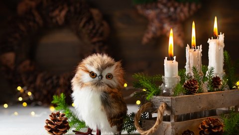 Обои птица, сова, праздник, снег, рождество, свечи, шишки, новый год, ящик, елка, совенок, хвоя, композиция, ветки, игрушка, bird, owl, holiday, snow, christmas, candles, bumps, new year, box, tree, owlet, needles, composition, branches, toy разрешение 5129x3356 Загрузить