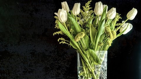 Обои цветы, фон, черный фон, букет, тюльпаны, белые, ваза, flowers, background, black background, bouquet, tulips, white, vase разрешение 3000x2053 Загрузить