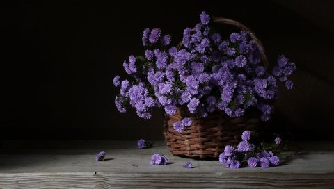 Обои доска, темный фон, хризантемы, корзинка, board, the dark background, chrysanthemum, basket разрешение 2048x1281 Загрузить