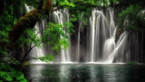 Обои деревья, вода, природа, скала, водопад, растительность, trees, water, nature, rock, waterfall, vegetation разрешение 1920x1200 Загрузить