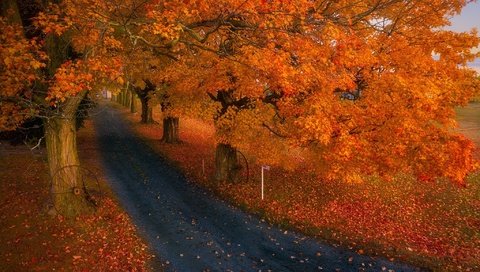 Обои дорога, природа, осень, road, nature, autumn разрешение 2048x1364 Загрузить