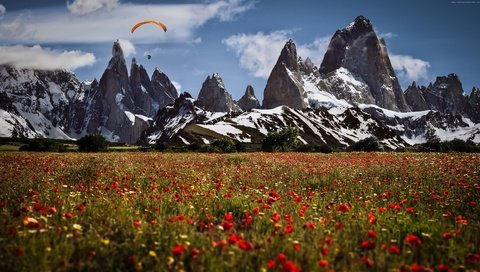 Обои цветы, горы, швейцария, маки, луга, парапланерист, flowers, mountains, switzerland, maki, meadows, paraglider разрешение 3840x2160 Загрузить