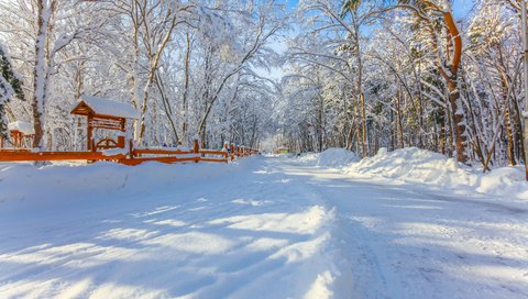 Обои снег, зима, snow, winter разрешение 3000x2000 Загрузить