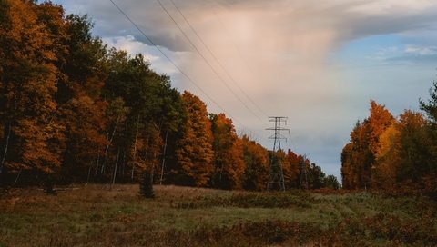 Обои природа, осень, лэп, nature, autumn, power lines разрешение 3840x2160 Загрузить