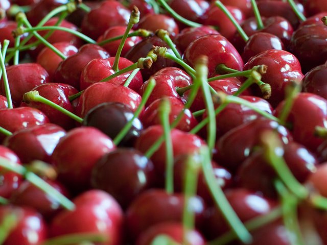 Обои фокус камеры, красная, черешня, ягоды, много, the focus of the camera, red, cherry, berries, a lot разрешение 1920x1200 Загрузить