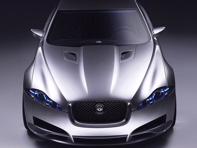 Обои ягуа́р, jaguar разрешение 1920x1080 Загрузить