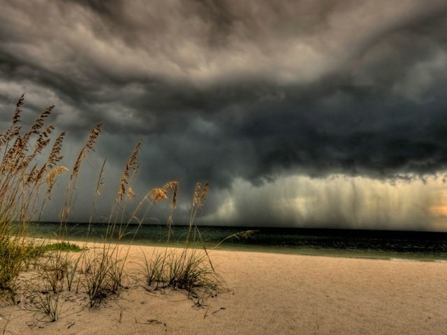 Обои небо, трава, берег, тучи, море, песок, пляж, колоски, the sky, grass, shore, clouds, sea, sand, beach, spikelets разрешение 1920x1080 Загрузить