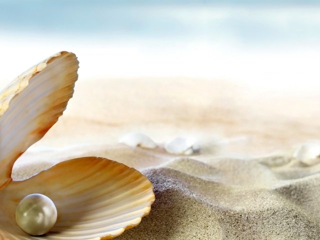 Обои на песке, раковина жемчужница, жемчужина, on the sand, shell pearl, pearl разрешение 1920x1080 Загрузить