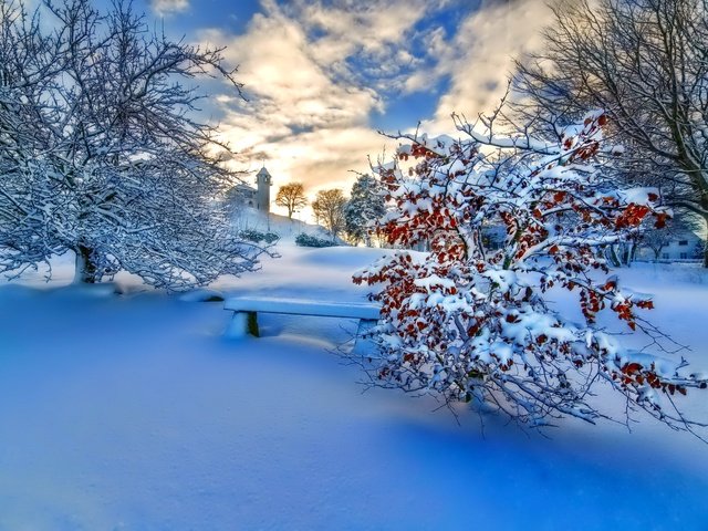 Обои небо, облака, деревья, снег, природа, закат, зима, пейзаж, the sky, clouds, trees, snow, nature, sunset, winter, landscape разрешение 2048x1367 Загрузить