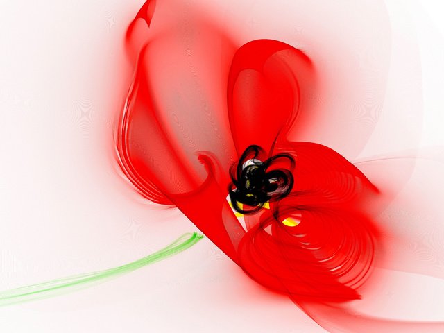 Обои цветок, красный, графика, мак, белый фон, flower, red, graphics, mac, white background разрешение 5905x4337 Загрузить