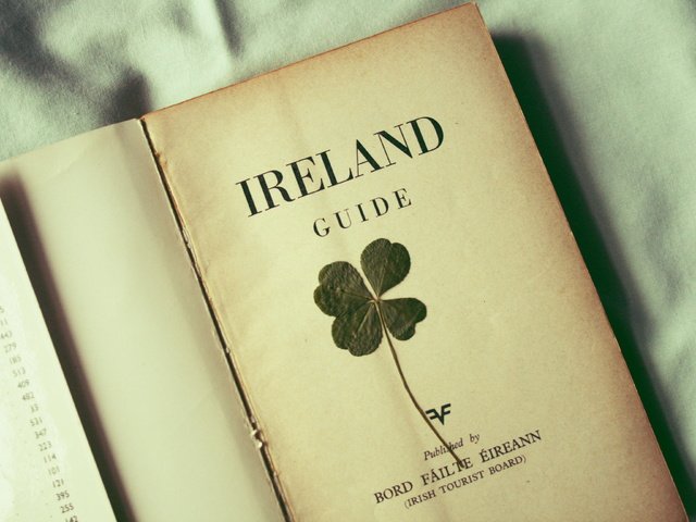 Обои клевер, листок, лист, книга, ирландия, clover, leaf, sheet, book, ireland разрешение 3888x2592 Загрузить