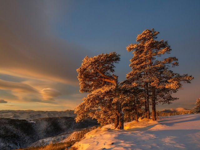 Обои небо, облака, снег, дерево, зима, утро, склон, the sky, clouds, snow, tree, winter, morning, slope разрешение 2048x1316 Загрузить