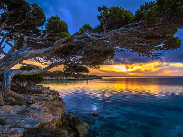 Обои облака, деревья, солнце, закат, тучи, море, пляж, clouds, trees, the sun, sunset, sea, beach разрешение 2048x1216 Загрузить