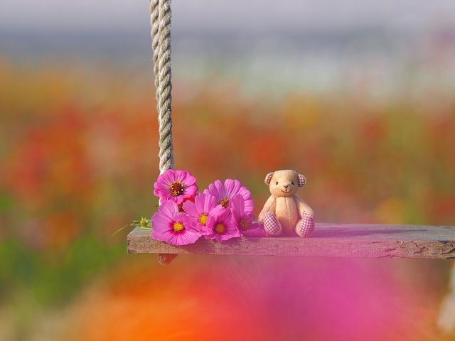 Обои цветы, настроение, игрушка, качели, медвежонок, боке, космея, плюшевый мишка, flowers, mood, toy, swing, bear, bokeh, kosmeya, teddy bear разрешение 2048x1536 Загрузить