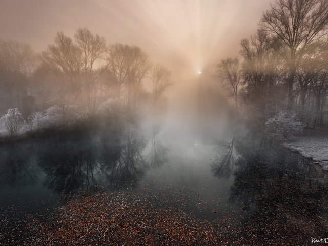 Обои деревья, река, природа, лес, туман, иней, trees, river, nature, forest, fog, frost разрешение 1920x1200 Загрузить