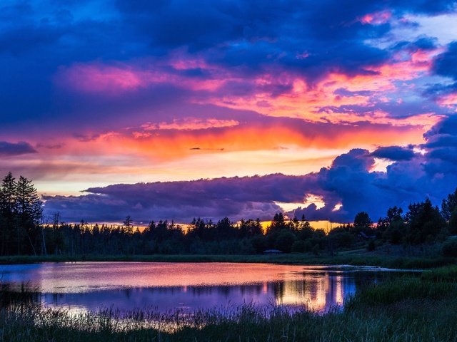 Обои деревья, вечер, озеро, природа, закат, пейзаж, небо облака, trees, the evening, lake, nature, sunset, landscape, sky clouds разрешение 3840x2160 Загрузить