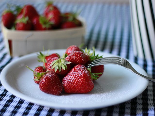 Обои клубника, вилка, ягоды, тарелка, сахарная пудра, strawberry, plug, berries, plate, powdered sugar разрешение 5184x3456 Загрузить