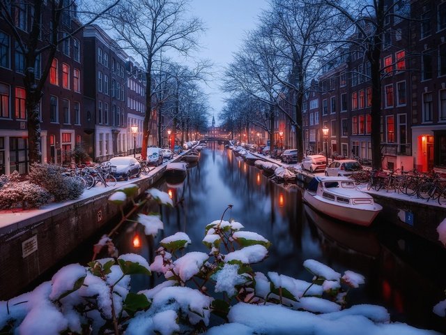 Обои свет, огни, снег, зима, утро, канал, амстердам, light, lights, snow, winter, morning, channel, amsterdam разрешение 1920x1280 Загрузить