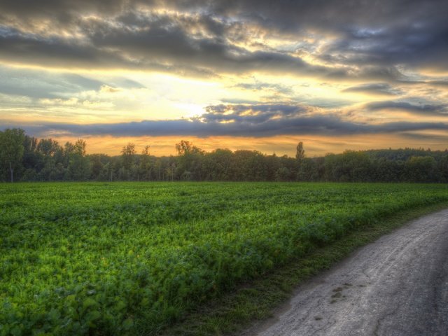 Обои дорога, закат, поле, road, sunset, field разрешение 3840x2160 Загрузить