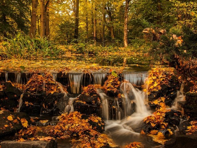 Обои деревья, лес, листья, водопад, осень, поток, осенний пейзаж, trees, forest, leaves, waterfall, autumn, stream разрешение 3840x2160 Загрузить