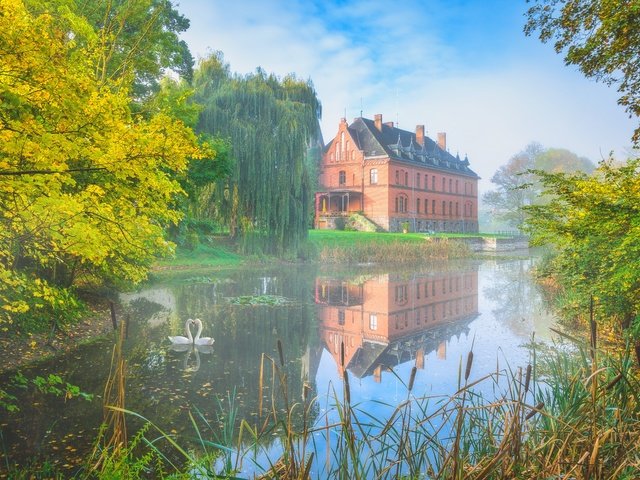 Обои туман, осень, дом, пруд, лебеди, fog, autumn, house, pond, swans разрешение 6000x4000 Загрузить