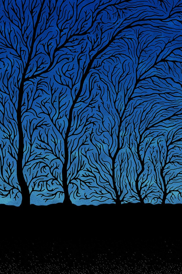 Обои деревья, синий, ветки, человек, черный, trees, blue, branches, people, black разрешение 2560x1600 Загрузить