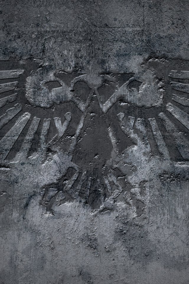 Обои стена, орел, знак, бетон, wall, eagle, sign, concrete разрешение 1920x1200 Загрузить